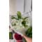 Bouquet Bon rétablissement
